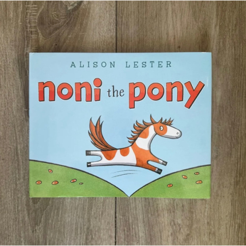 Noni the Pony – Bridle Up Hope Shop