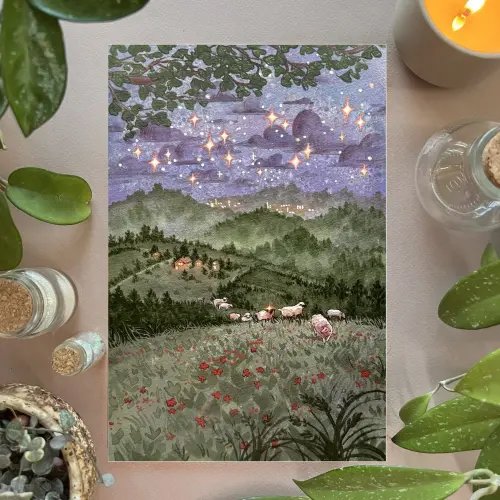 Counting Sheep — Amina Illustration