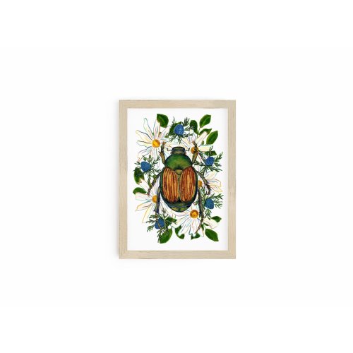 June Bug Beetle Art Print, Insect Taxidermy