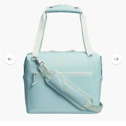 Stanley The All Day Julienne Midi Cooler - 20 Cans/12 Qts. | REI Co-op