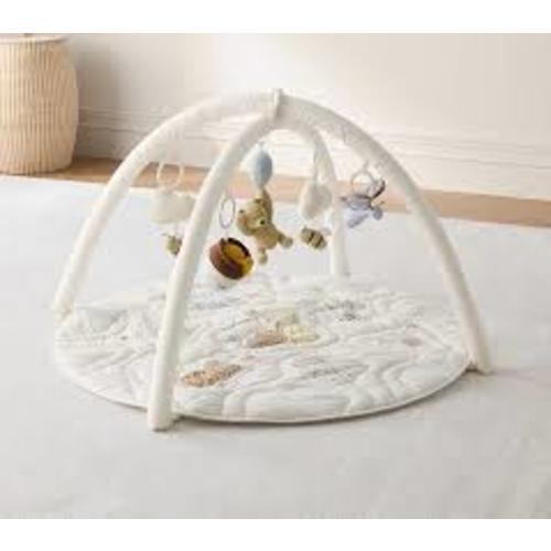 Disney's Winnie the Pooh Activity Gym - Google Search