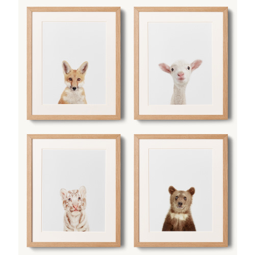 Baby Animal Close-Up Portraits | RH Baby & Child