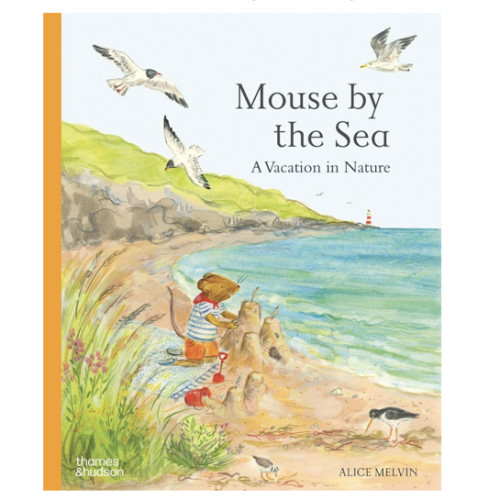 Mouse by the Sea: A Vacation in Nature (Mouse’s Adventures)