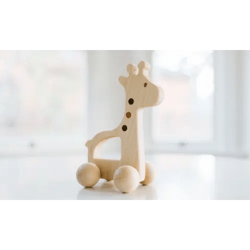 Giraffe Push Toy