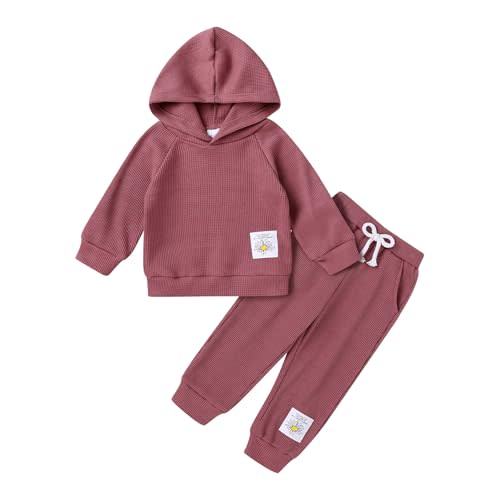 YOUNGER TREE Baby Girl Clothes Toddler Fall Winter Outfits Sweatshirt pants Sweatsuits for Infant Girl Baby Girl Clothing
