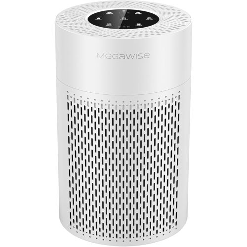 Smart Air Purifier
