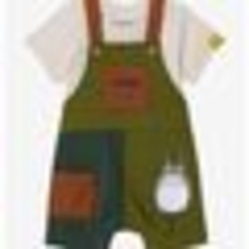 Studio Ghibli My Neighbor Totoro Color Block T-Shirt and Overall Set - BoxLunch Exclusive