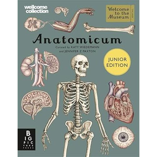 Anatomicum Junior (Welcome To The Museum)