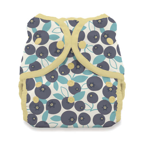 Duo Wrap Reusable Swim Diaper Waterproof | Blueberry - Size 2