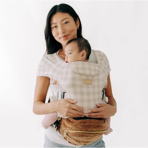 2-in-1 Convertible Carrier