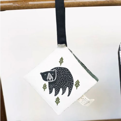 Crinkle Pages Stroller Toy