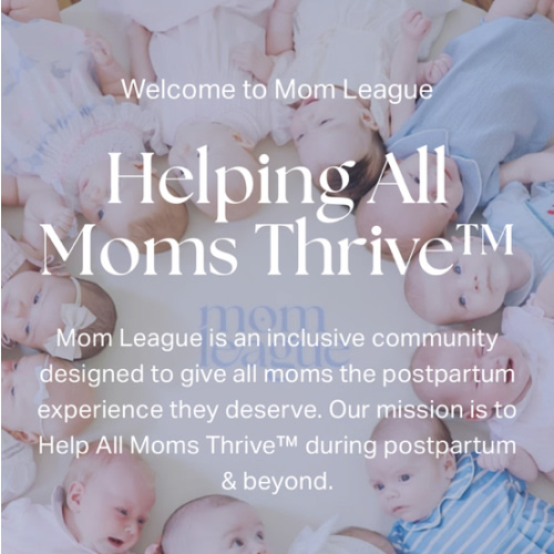 Mom League of Charlotte (8-Week Newborn Series Classes)