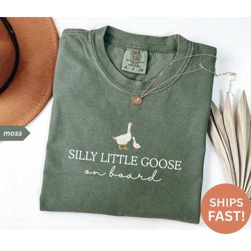 Pregnancy Announcement Shirt,Silly Little Goose Baby Reveal T-Shirt, Pregnant Shirt,Cute Pregnancy Shirt, Mom to Be Tshirt, Baby Shower Gift