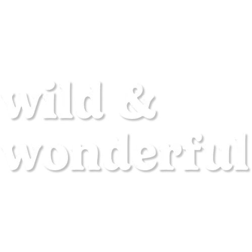 Carter’s Infant & Baby Clothes