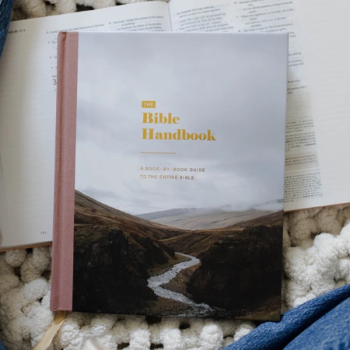 The Bible Handbook | TDGC – The Daily Grace Co.