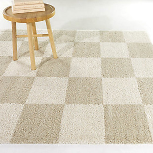 Reinhart Checkered 5' 3" x 7' Area Rug