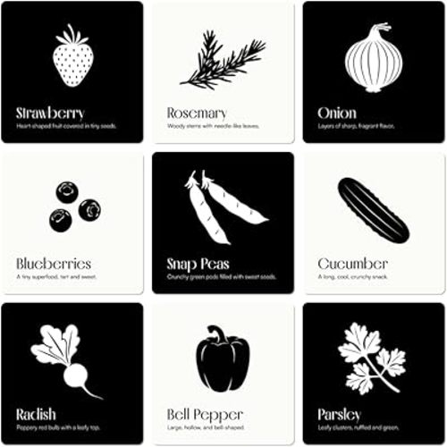 Garden for Baby Black and White Cards by Chunky Deli | High Contrast Sensory Toy for Newborn Visual Stimulation & Tummy Time | 10 Laminated Infant Learning Cards | Unique Foodie