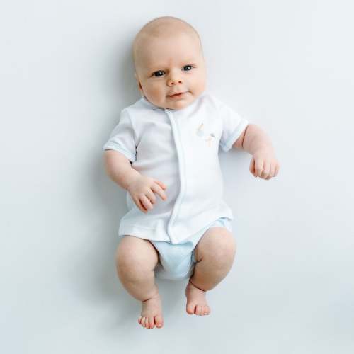 Vintage Stork Diaper Cover Set - Light Blue