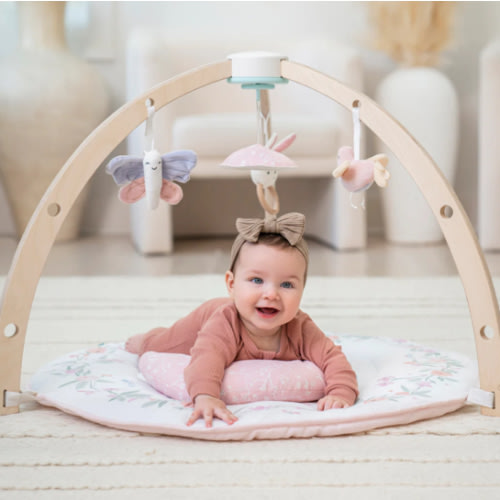 Baby Gym | Premium Baby Activity Gym | aden + anais