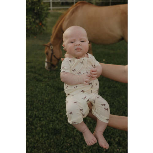 Shortie Bamboo Zip | Wild Horses