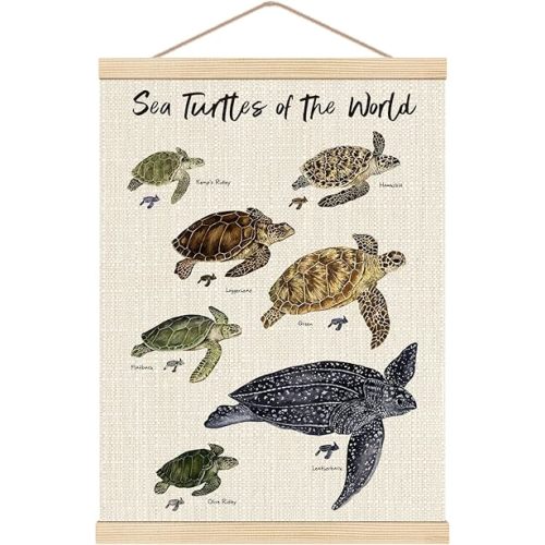 HKTZM Sea Turtle Wall Art, 12.5x17 Inch Poster With Wooden Hanger, Coastal Beach Bathroom Decor