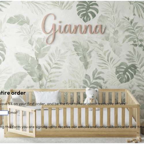 Gianna Floor Bed with Gate @ Custom Kids Furniture