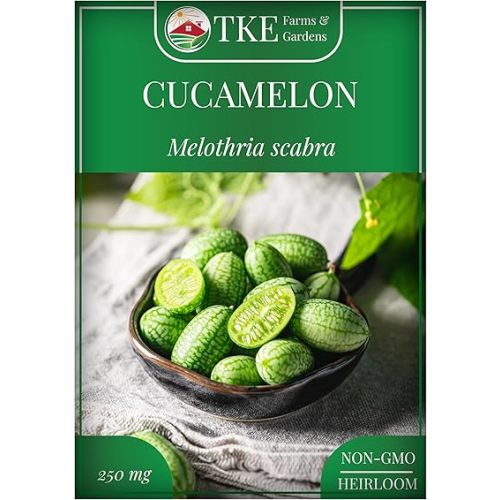 TKE Farms & Gardens - Cucamelon Seeds for Planting, 75 Heirloom Non GMO Seeds, Mexican Sour Gherkin Mouse Melon, Delicious Mini Fruits, Easy to Grow, Includes Instructions, Rare Garden Seeds, 1 Pack