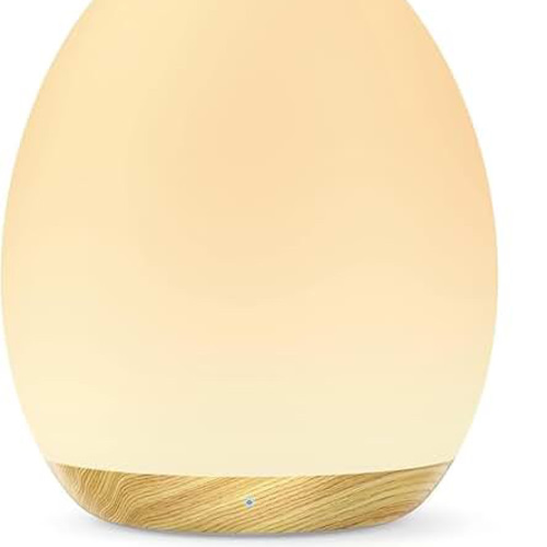 Amazon.com : jolywell baby night light