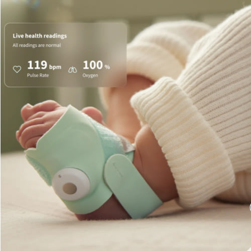 Dream Sock® – Owlet US