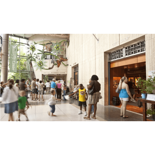 Museum of Natural Science - Annual Membership