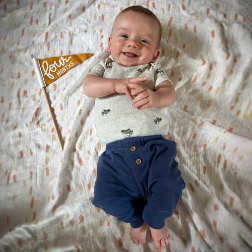 BABY MILESTONE SET Monthly Pennant Photo Props | Set of 6 Double-Sided Reversible 4x7" Flags with Removable Stick