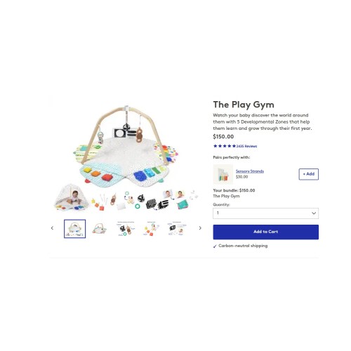 Baby Play Gym