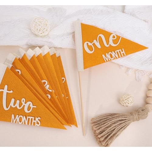 12 PCS Baby Monthly Milestone Felt Pennant - Baby 1 to 12 Months Milestone Photo Props, Newborn Growth Record Triangle Banner, First Year Pennant Milestone Signs, Boy and Gilr fisrt year Photo Props