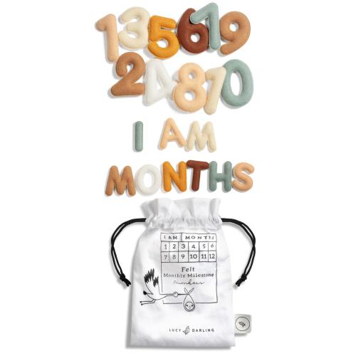 Baby Milestone Felt Numbers - Neutral Colors Monthly Photo Prop Set, Birth to 12 Months