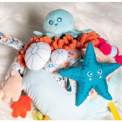 Sensorial Reef Activity Toy