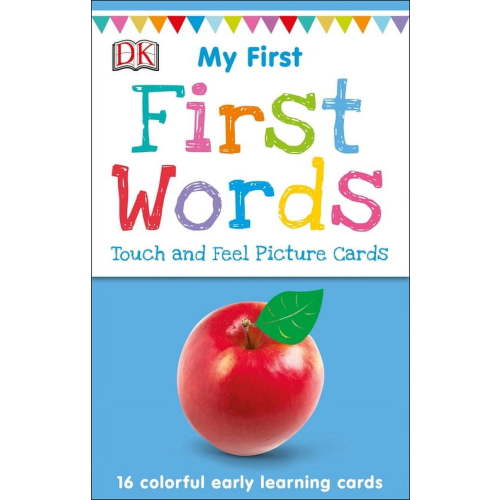 My 1st T&f Picture Cards: My First Touch and Feel Picture Cards: First Words (Other)