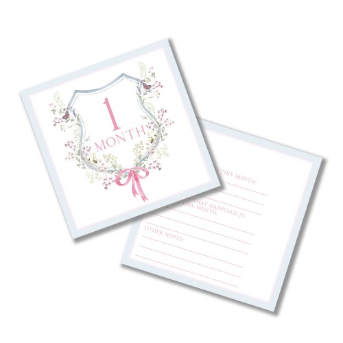 Baby Milestone Cards, First Year Cards, Monthly Milestone, Girl Month Cards