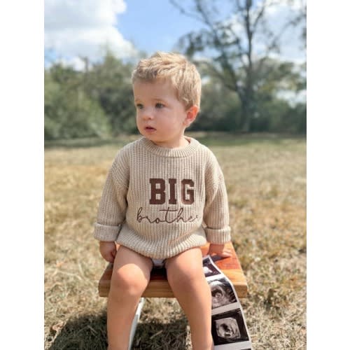 Embroidered Big Brother Sweater, Baby Announcement, Big Brother Gift, Sibling Matching Outfit, Baby Shower gift
