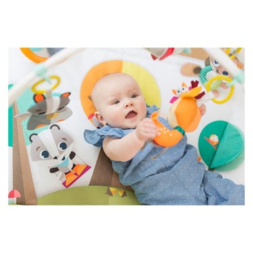 Tiny Love Deluxe Gymini