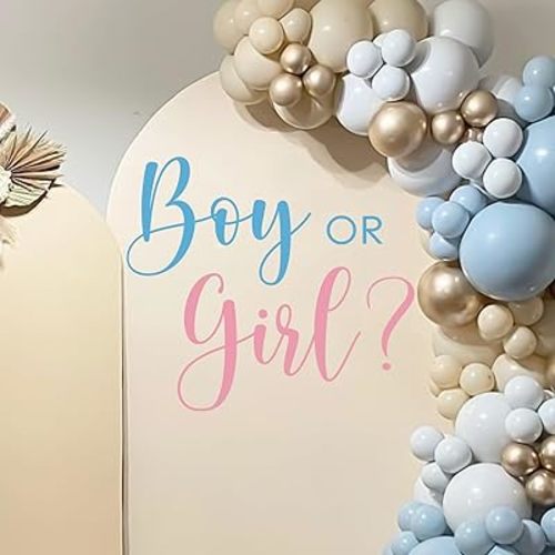 Boy or Girl Gender Reveal Decal - He or She Sign, Boy or Girl Baby Gender Party Theme Decorations, Baby Gender Sign, Blue Gender Reveal Backdrop, Backdrop Letters for Arch Decal (Pink)