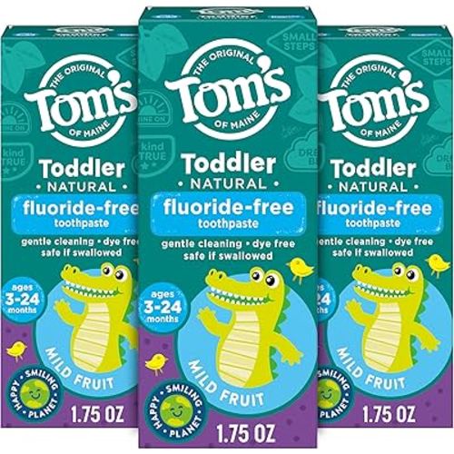 Tom's of Maine Fluoride-Free Toddler Training Toothpaste, Mild Fruit, 1.75 oz. 3-Pack (Packaging May Vary)