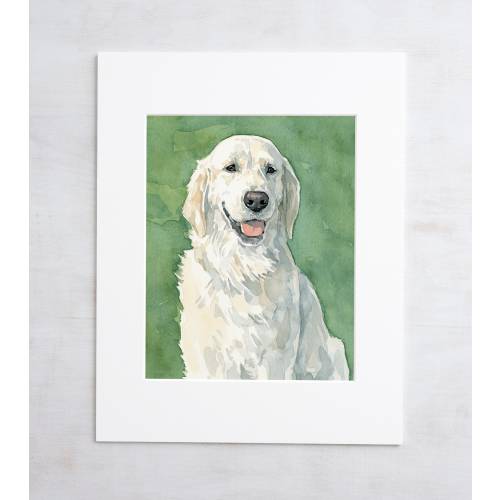 English Retriever Watercolor Limited Edition Print White Cream Retriever Painting