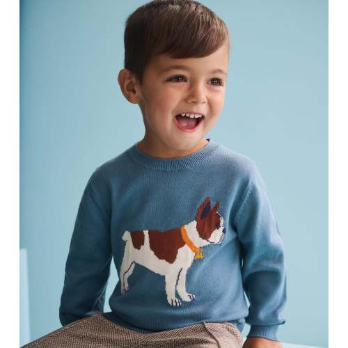 Baby & Toddler Boys French Bulldogs Crew Neck Sweater