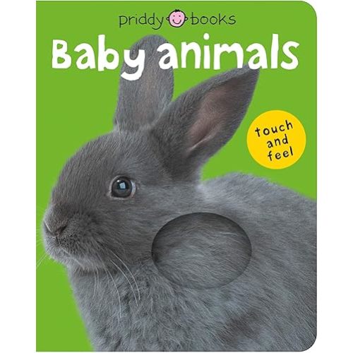 Baby Animals (Bright Baby Touch and Feel): A first sensory tactile book Board book – Touch & Feel, December 26, 2006