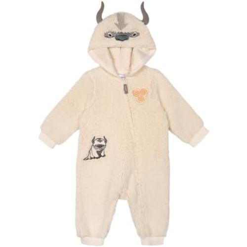 Avatar The Last Airbender Baby Boys' Cosplay Hooded One Piece