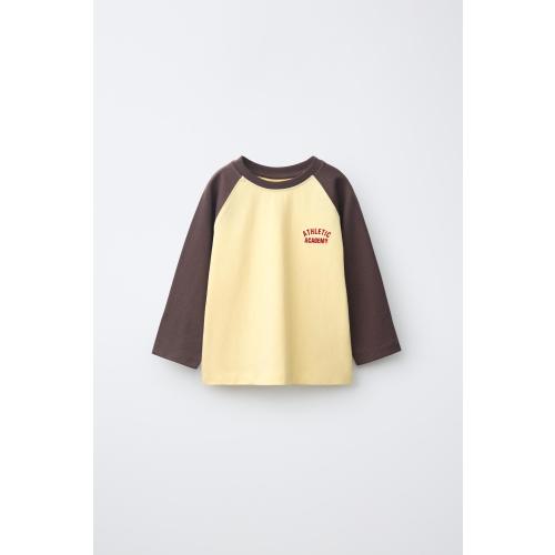 EMBROIDERED TEXT RAGLAN SLEEVE T-SHIRT - Brown | ZARA United States
