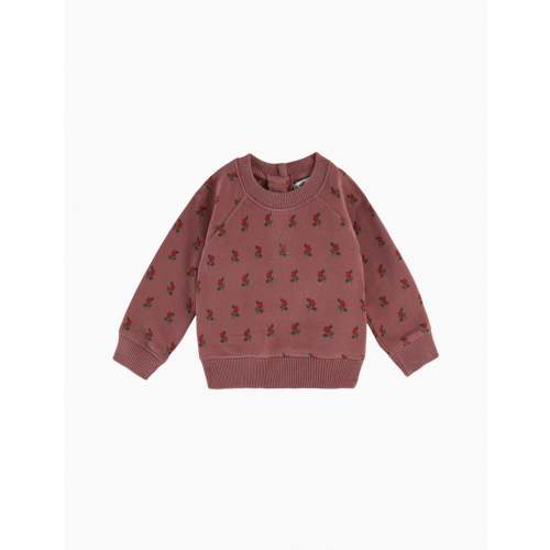 All Over Printed Sweatshirt in Poppy Violine (SIZE: 12M)