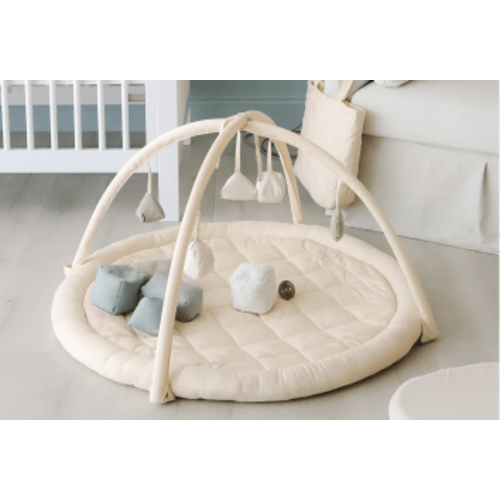 Play Gym