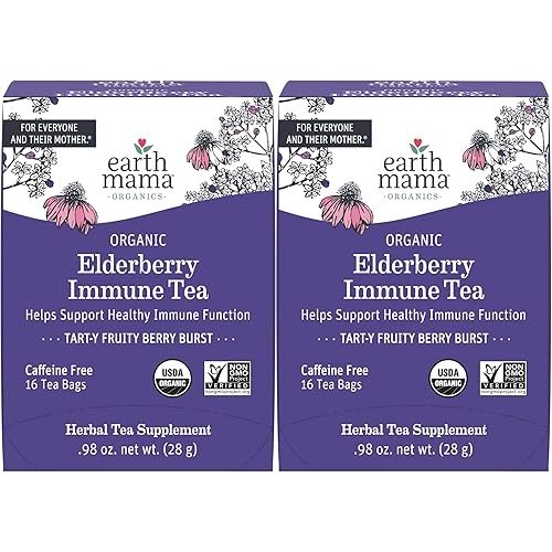 Earth Mama Organic Elderberry Immune Support Tea with Echinacea | Safe For Pregnancy, Breastfeeding, Postpartum, Kids and Family Essentials, Decaf Tea with Ginger & Rooibos, 16-Count (2-Count)