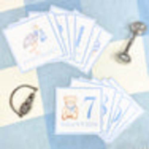 Sir Proper's Month Markers - Buckhead Blue